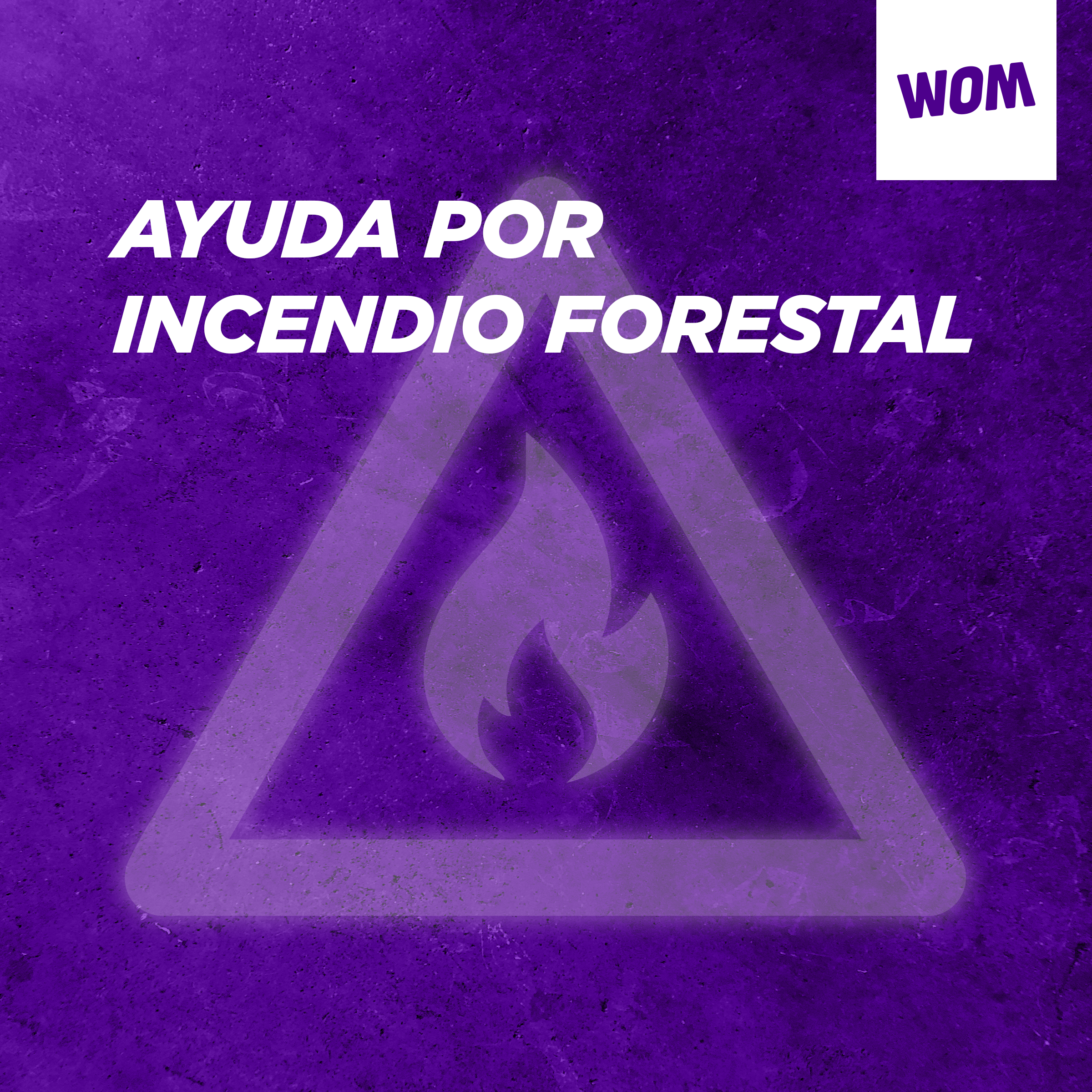Declaración WOM incendios VIII región